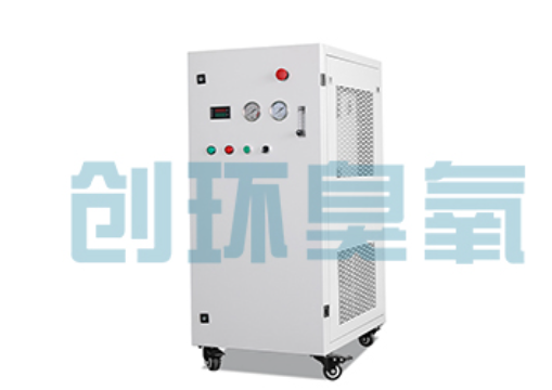 渭南石斑鱼养殖水质调控完整指南:臭氧发生器配置与操作步骤