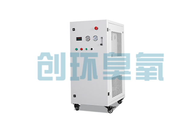 渭南比传统换水更高效?臭氧发生器在石斑鱼养殖中的水质净化原理解析