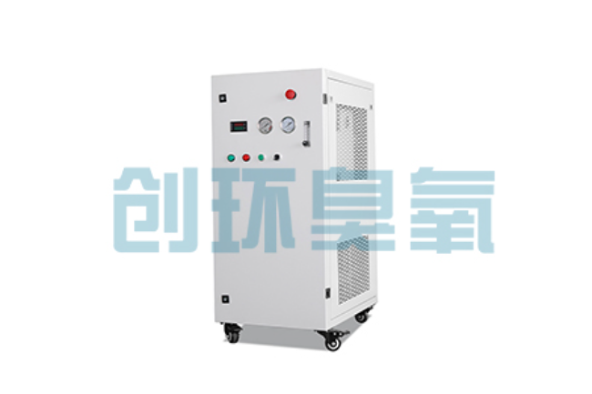 渭南比传统换水更高效?臭氧发生器在石斑鱼养殖中的水质净化原理解析
